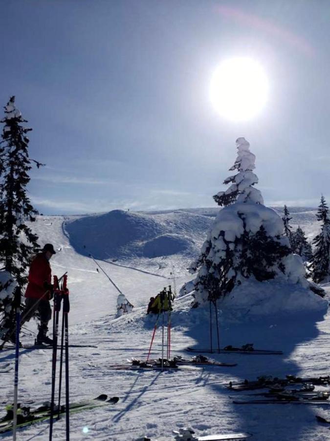 Trysil Mountain Sauna Apartment: Ski Lift & Bike Arena Access Exterior photo